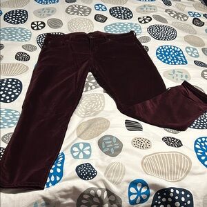 Banana Republic Maroon Skinny Fit Pants